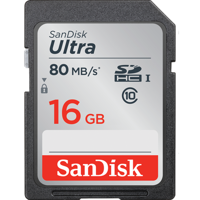 SD Card (16GB)