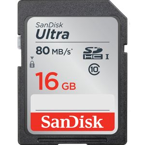 SD Card (16GB)